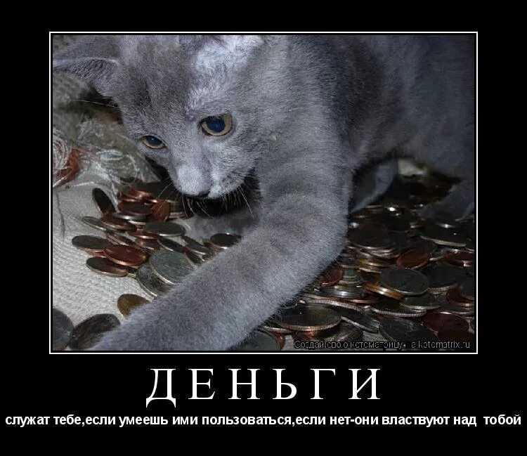 Денег нет мы идем воровать. Жириновский спокойный. Чиновник карикатура. Афоризмы про воровство. Спокойной ночи жириновский.