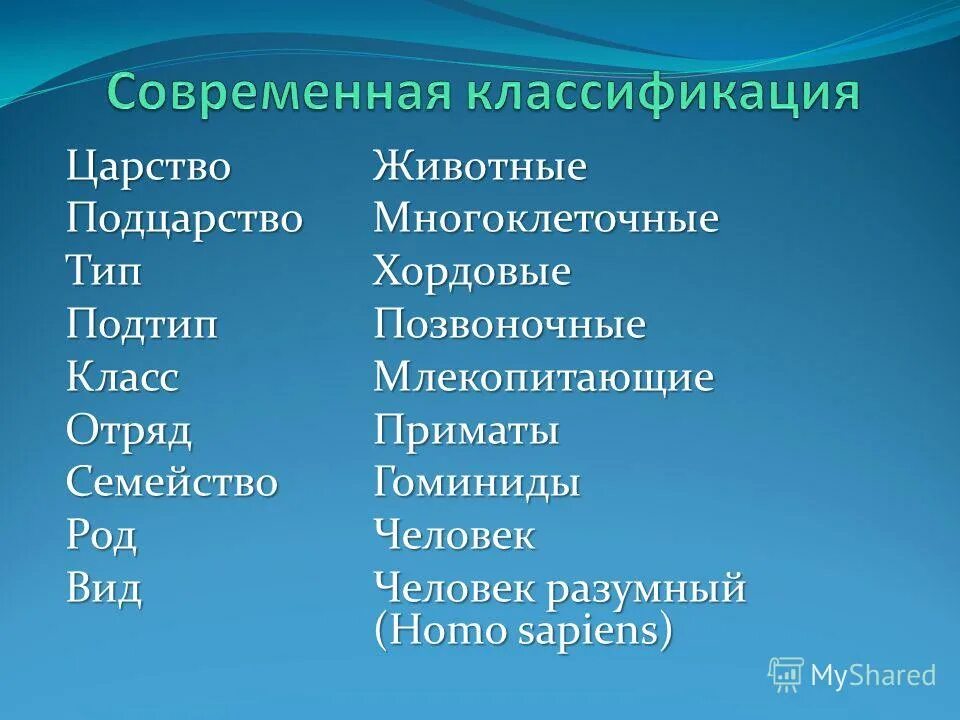 Биологическая классификация человека. Систематика человека. Систематика человека. Место человека в системе классификации животного мира. Положение человека в системе органического мира.