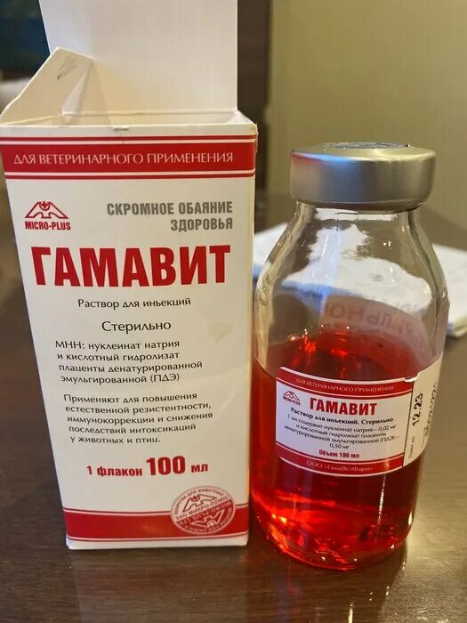 гамавит в таблетках для собак. витамины собачьи гамавит. гамавит аналоги. гамавит раствор. 5 флак.