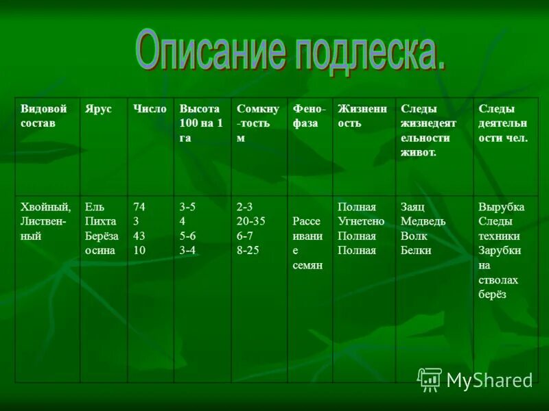 Индекс хвойный. Характеристика древостоя. Ярусы древостоя. Видовой состав леса. Состав насаждения.