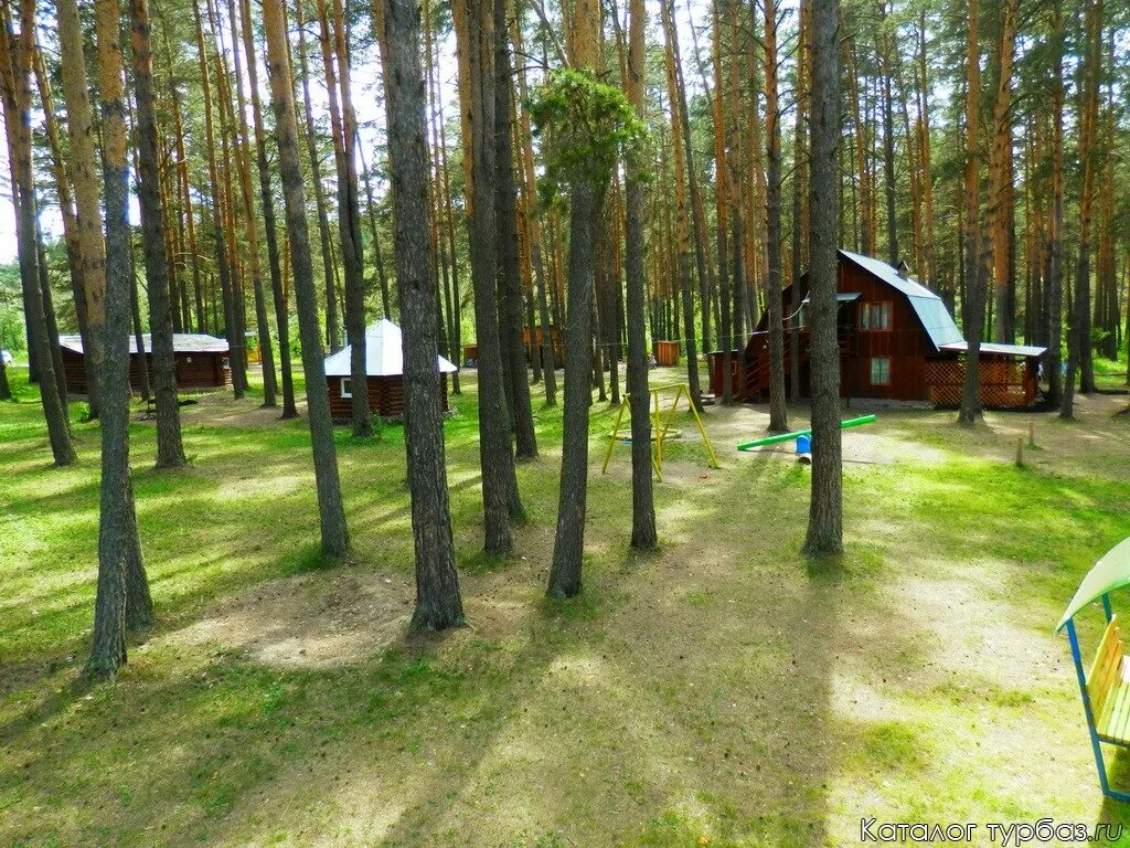 Базы белорецка. Осетровский пруд Белорецк. Осетровский пруд Белорецк база отдыха. Отдых база Осетровский пруд. Осетровые пруды Белорецк.