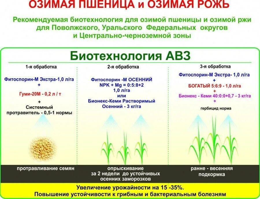 Гербициды по озимым. Схема посева (посадки) Яровой пшеницы. Листовая подкормка пшеницы карбамидом. Схема развития озимой пшеницы. Фазы обработки пшеницы.