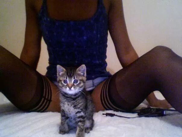 Мемы про киску. Девушка с кошкой между ног. Сирийске девушке попросил улыбнуться. Девочка просит,женщина просит у вселенной мем. Красивое декольте у женщин.