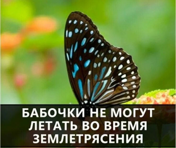 Мир вокруг нас надпись. Интересные факты о воде для детей. Интересная информация для детей. 16 миров. Энциклопедия микромир.