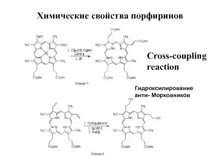 Порфирины