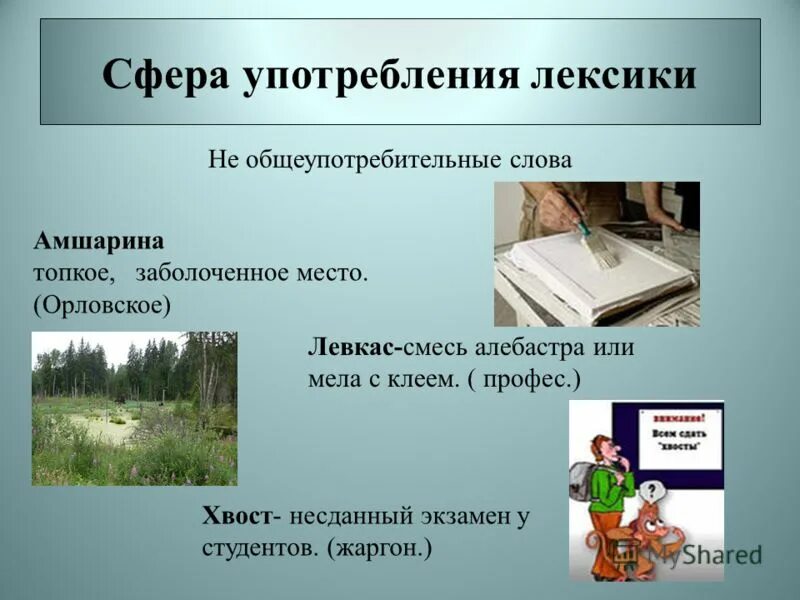 Сферы употребления слов. Сфера употребления. Лексика ограниченной сферы употребления. Лексика с точки зрения употре. Лексика.