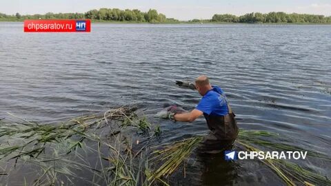 С 23 июня по 23 июля
