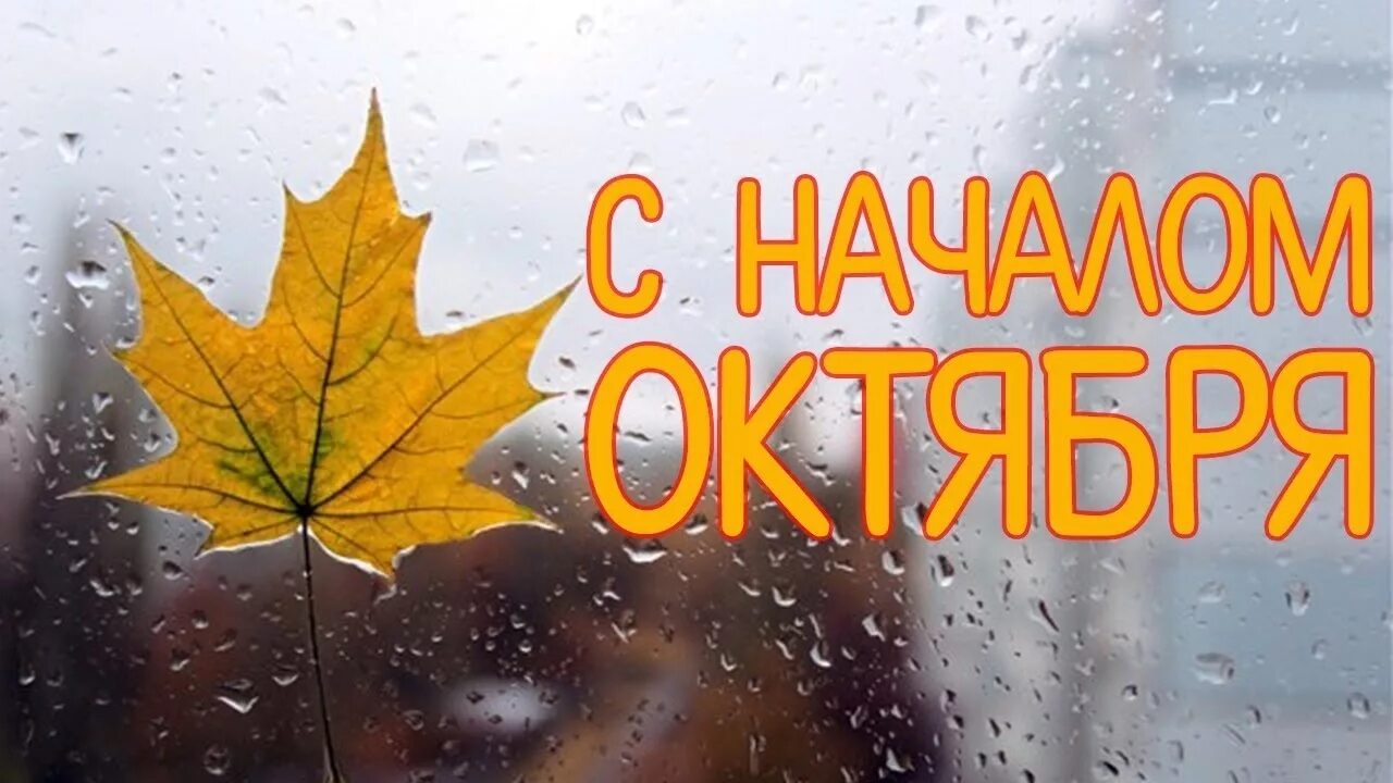 October first. С началом октября. Открытки с началом октября. С первым днем октября. Доброе утро с началом октября.