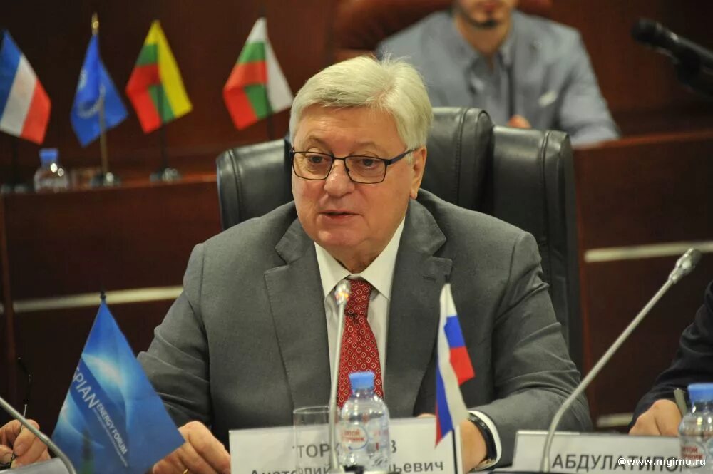 Торкунов мгимо. Торкунов анатолий васильевич ректор. Торкунов анатолий васильевич мгимо. Ректор мгимо 2022. Торкунов ректор.