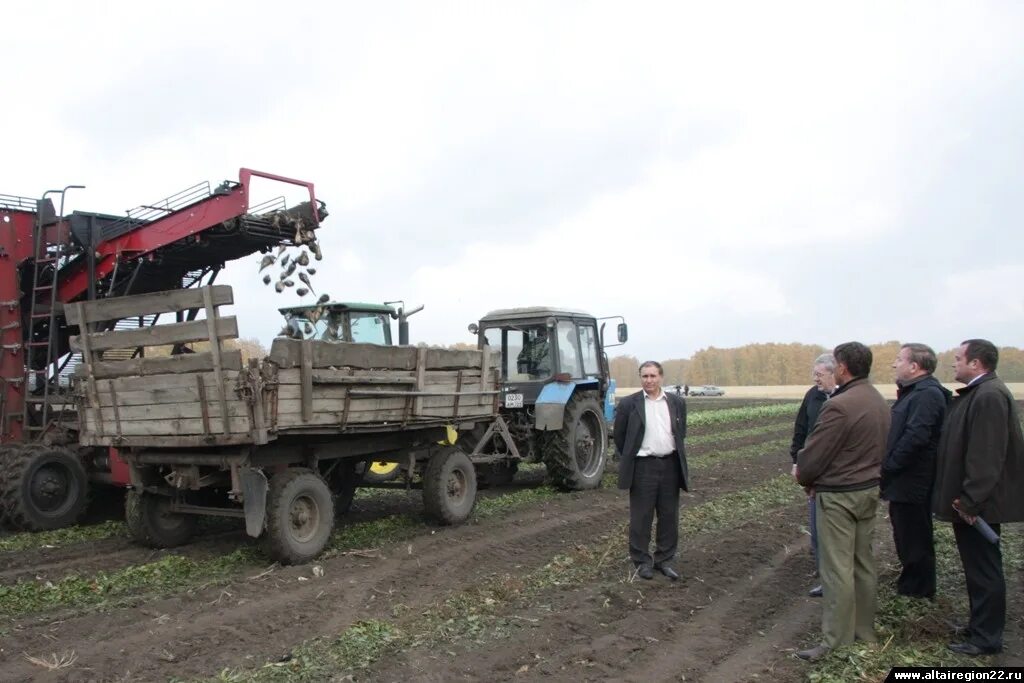 Погода в петухах алтайский край ключевской. Погода в петухах алтайский край ключевской. Стройка в село тебисское горкунов. Село васильчуки алтайский край. Погода в петухах алтайский край ключевской.