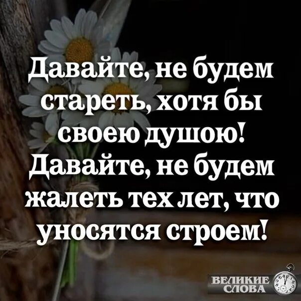 Не будем стареть душою. Давайте не будем стареть. Давайте не будем стареть хотя бы своею душою. Давайте не будем стареть стихи. Давайте не будем стареть хотя.