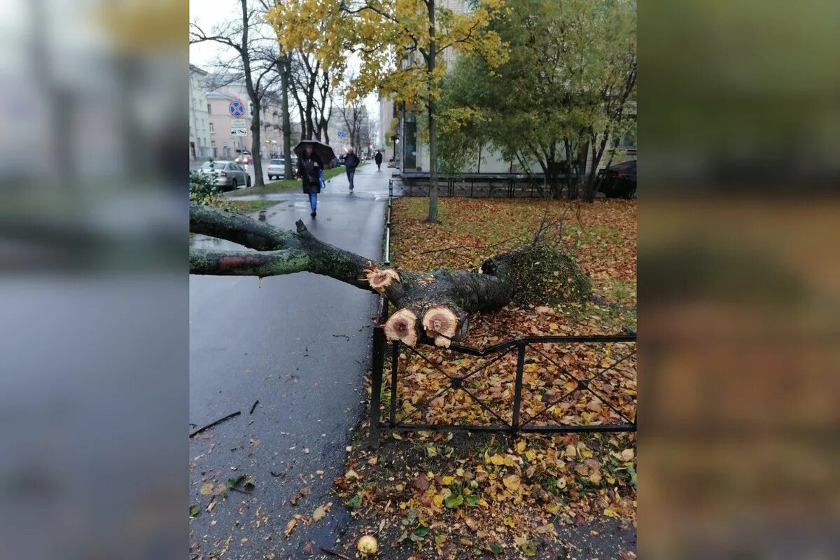 3 апреля сильный ветер. Сильный ветер в Петербурге. Октябрь в городе. Штормовой ветер. Ветер в городе.