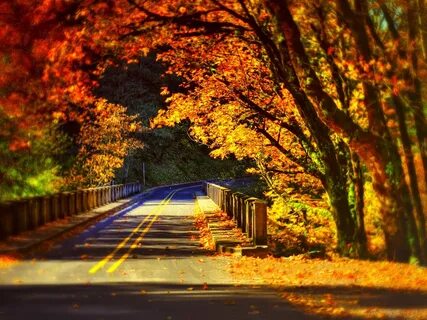 Color path
