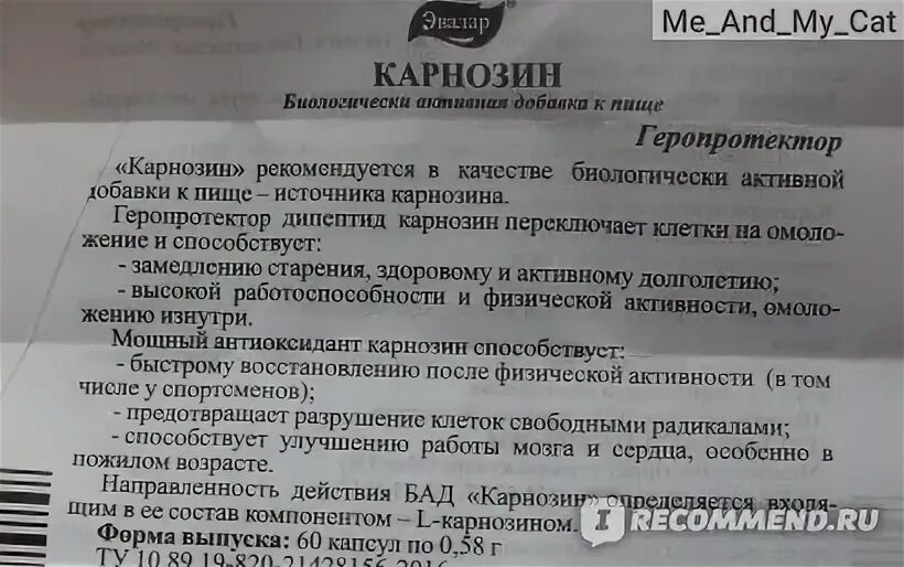 Эвалар карнизон. Карнозин Эвалар. Карнозин Эвалар инструкция. Цинк карнозин Эвалар. Карнозин инструкция.