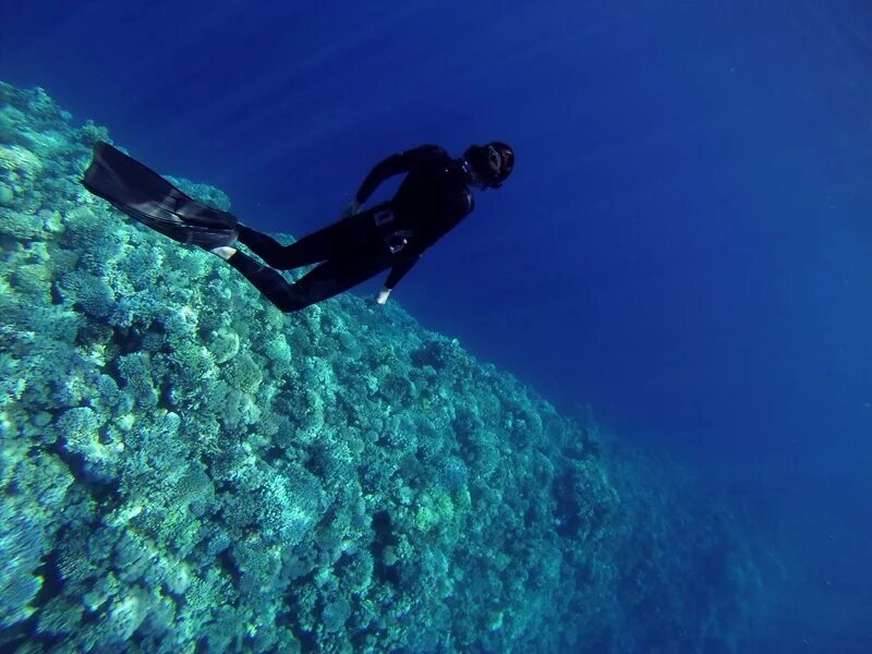 Life is diving. Фридайвинг. Фридайвинг спорт. Крым фридайвинг. Фридайвинг древнее.