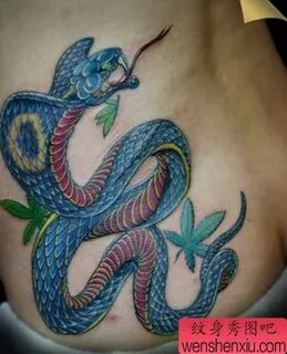 Жасырын камерамен жалаңаш балапандарды аңдыймыз