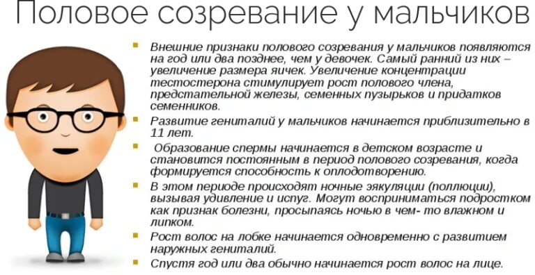 Во сколько лет появляется семя