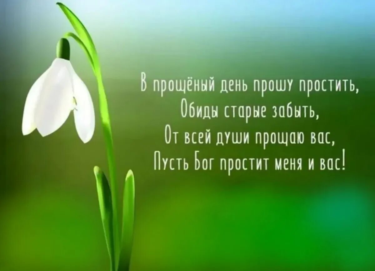 С прощенным воскресеньем. Поздравления с пращённым воскресенье. Открытки с с прщоным Воскресение.. С полщеннвм воскресенье.