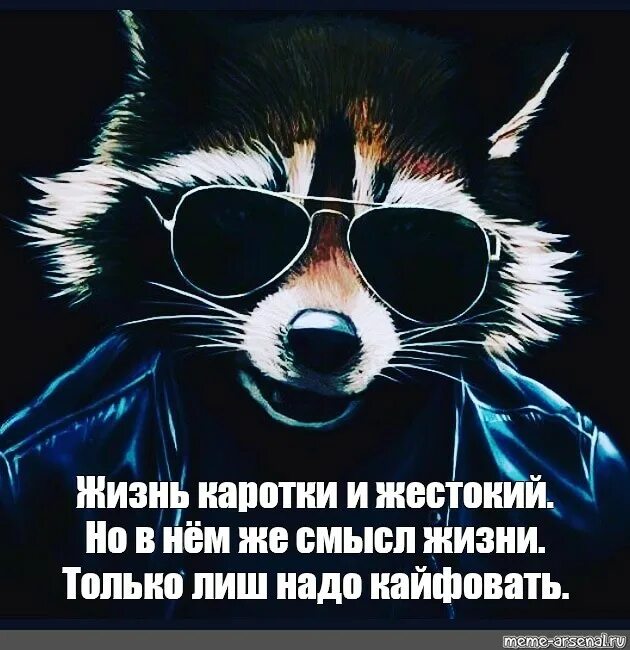 Кайфуй со