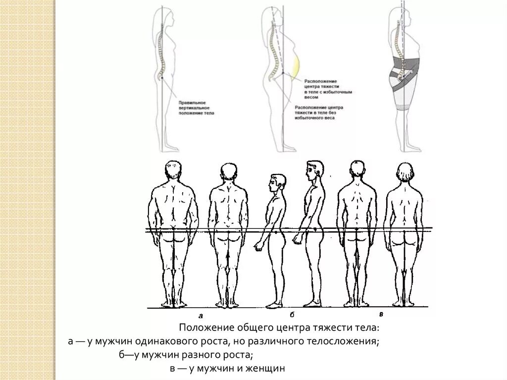 Общий центр тяжести (оцт)человека. Центр тяжести тела человека биомеханика. Расположение центра тяжести у мужчин и женщин. Центр тяжести у мужчин. Изменение положения женщины