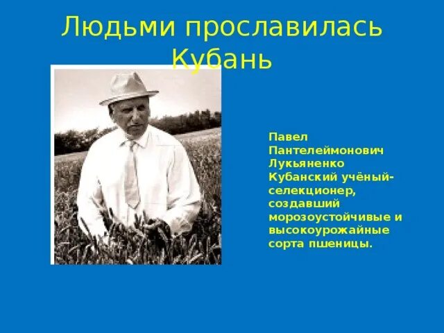 Труженики кубани 3 класс. Селекционер Кубани Лукьяненко. Труженики Кубани Лукьяненко.