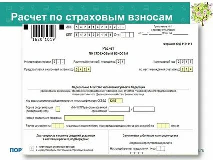 Страховые взносы в декларации по прибыли