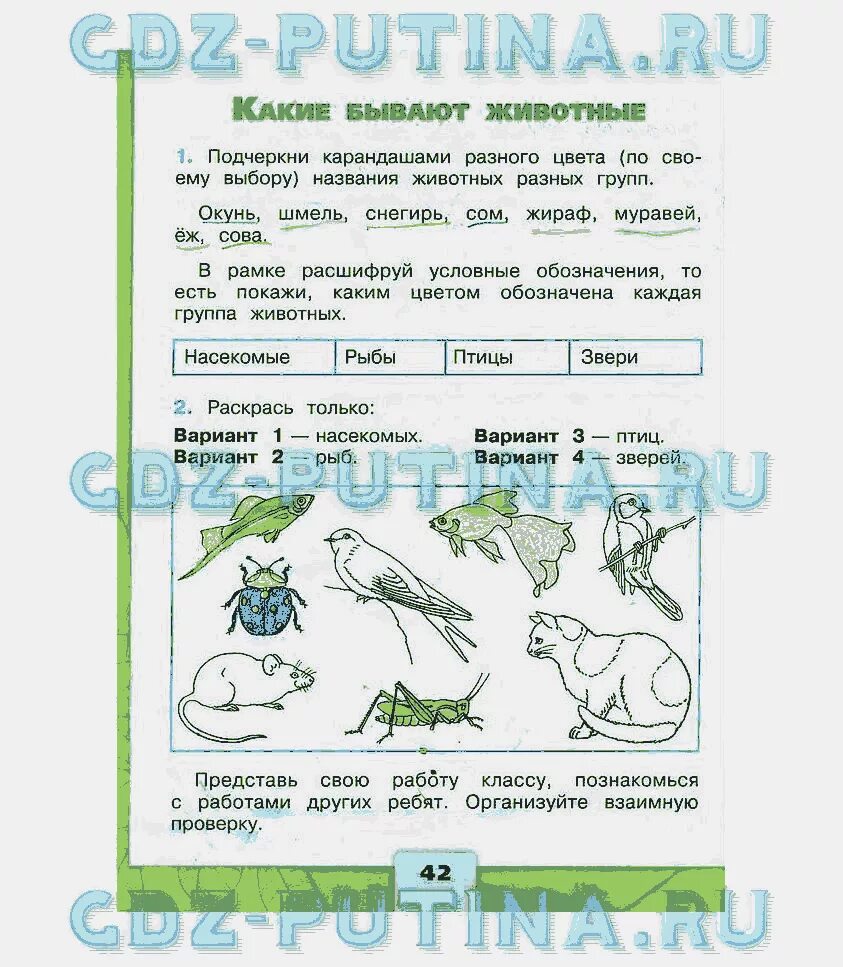 Окружающий мир 2 класс рабочая тетрадь стр 42. Окружающий мир тетрадь 2 класс стр 42. Окружающий мир 2 класс рабочая тетрадь 2 стр 42. Окружающей мир 2 класс рабочая тетрадь 2 стр 43. Окружающий мир 3 класс стр 42 45