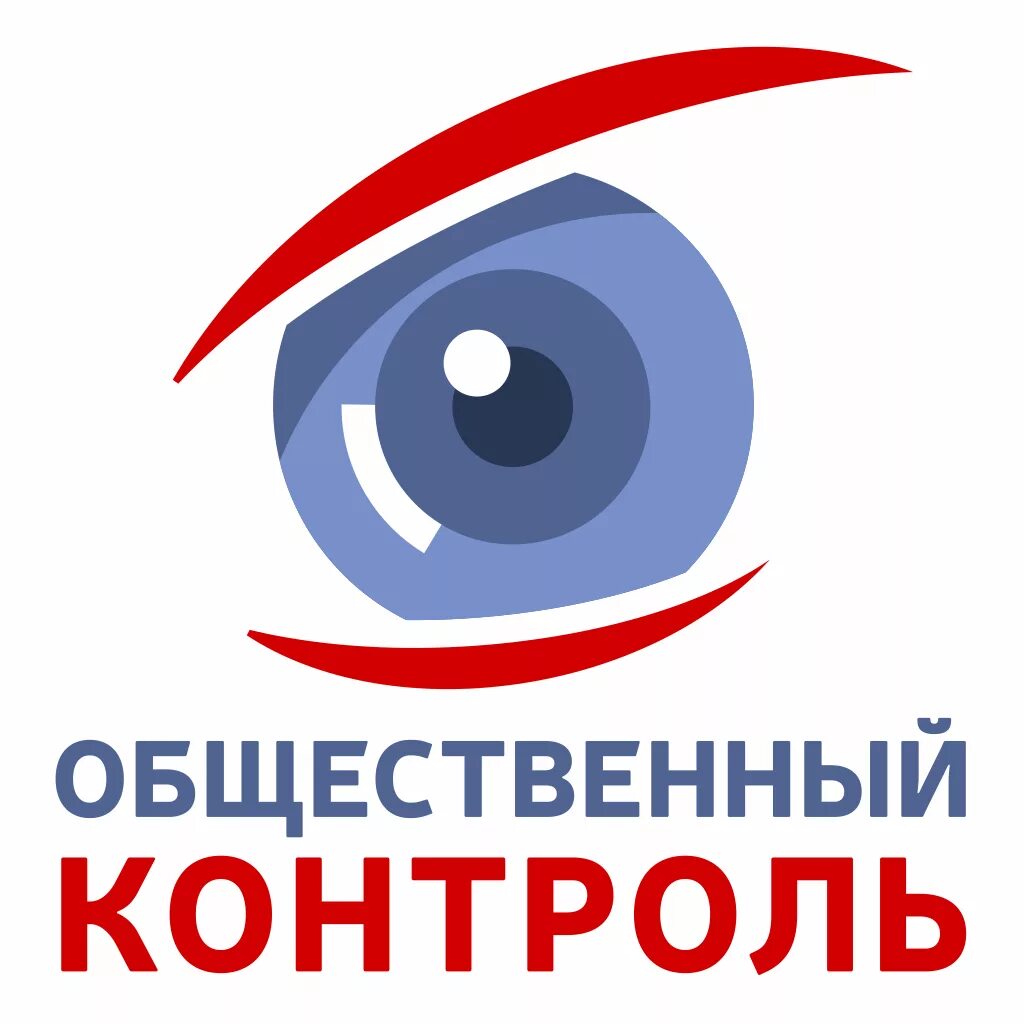 Орг контроль. Общественный контроль эмблема. общественный контроль картинки. общественный контроль рисунок. общественный контроль иллюстрация.