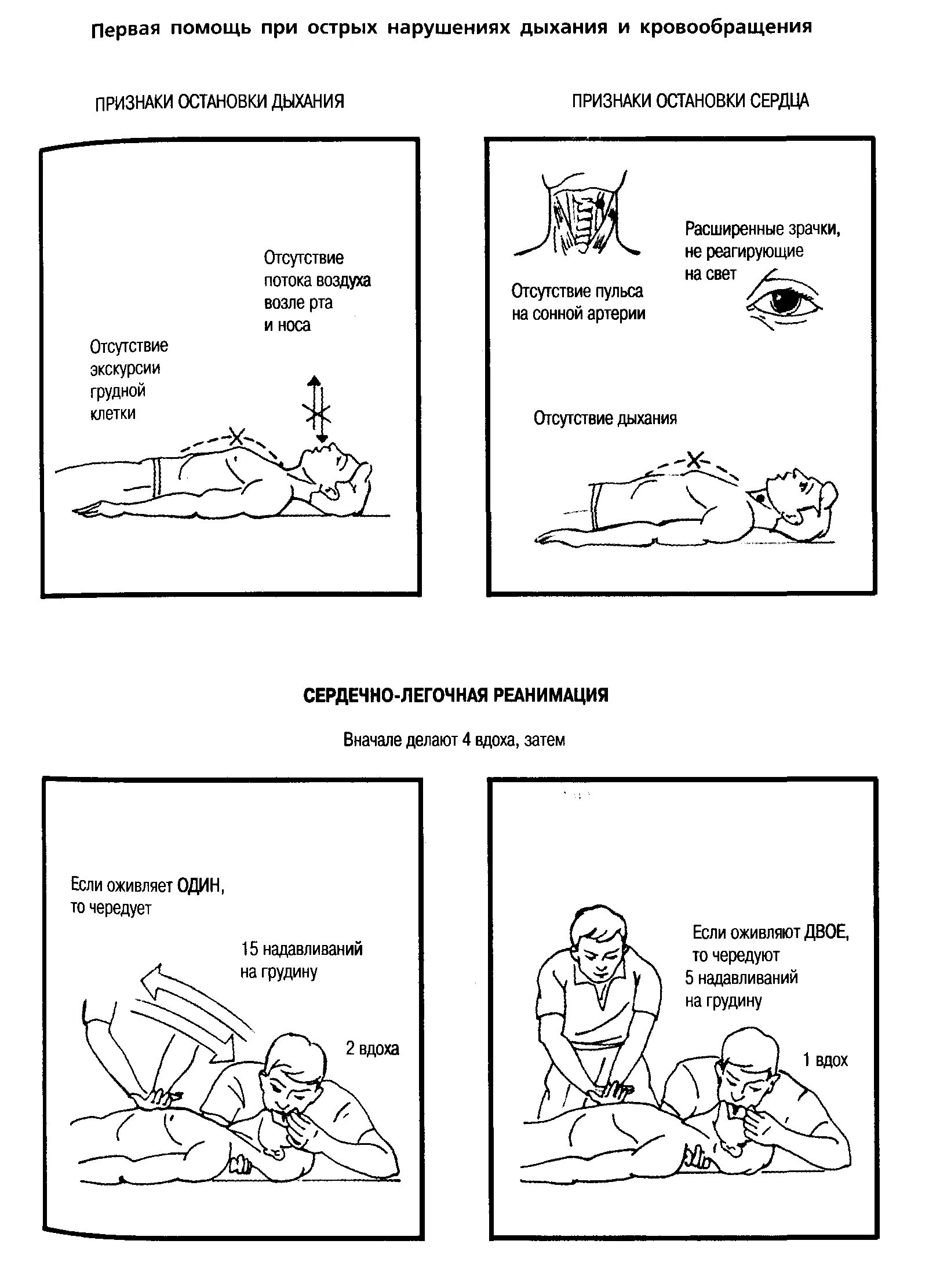 Остановка дыхания алгоритм. Оказание первой помощи при остановке сердца и дыхания реанимация. Первая помощь при остановке сердца и дыхания алгоритм. Алгоритм ПМП при остановке сердца. Алгоритм оказания первой помощи при остановке сердца и дыхания.