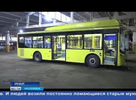 Автобусы до мармелада