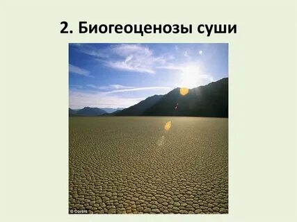 Суши экосистем