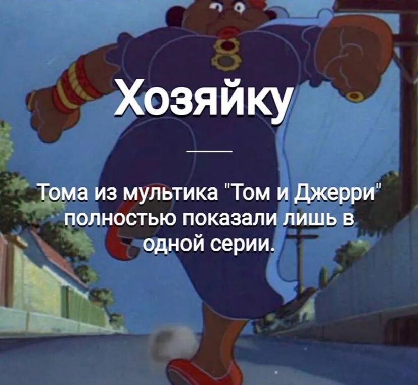Как зовут хозяйку тома. Том и джерри хозяйка. том и джерри хозяйка тома. том и джерри лицо хозяйки. лицо хозяйки тома из тома и джерри.