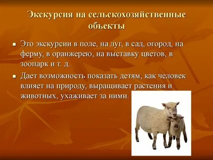 Развернутый план экскурсии на сельскохозяйственные объекты