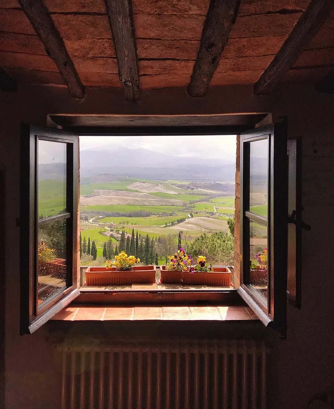 Sun open windows