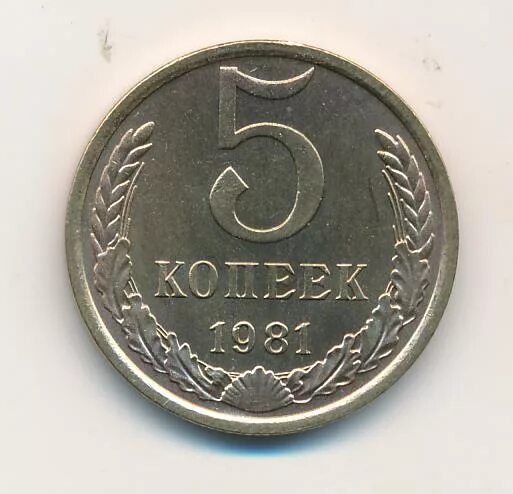 Монета 1860 медь. Ценные монеты ссср 50 копеек. 50 копеек ссср 1989г. 1981 год сколько лет будет. Монета ссср 3 копейки 1981 г.
