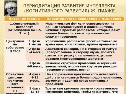 Интеллектуальное развитие ребенка теория пиаже