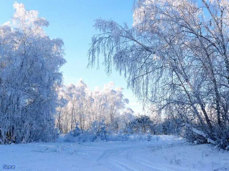 Пелена это. Русские поэты о зиме. Фредерик Шопен вальс 7 зима. Зимний вальс Шопен. Стихи о зиме 4 класс русских поэтов.