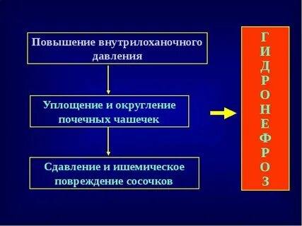 Тесты гидронефроз по утвержденным клиническим рекомендациям 2023