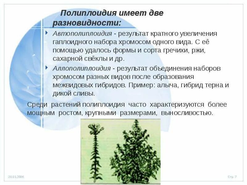 С помощью которых удается