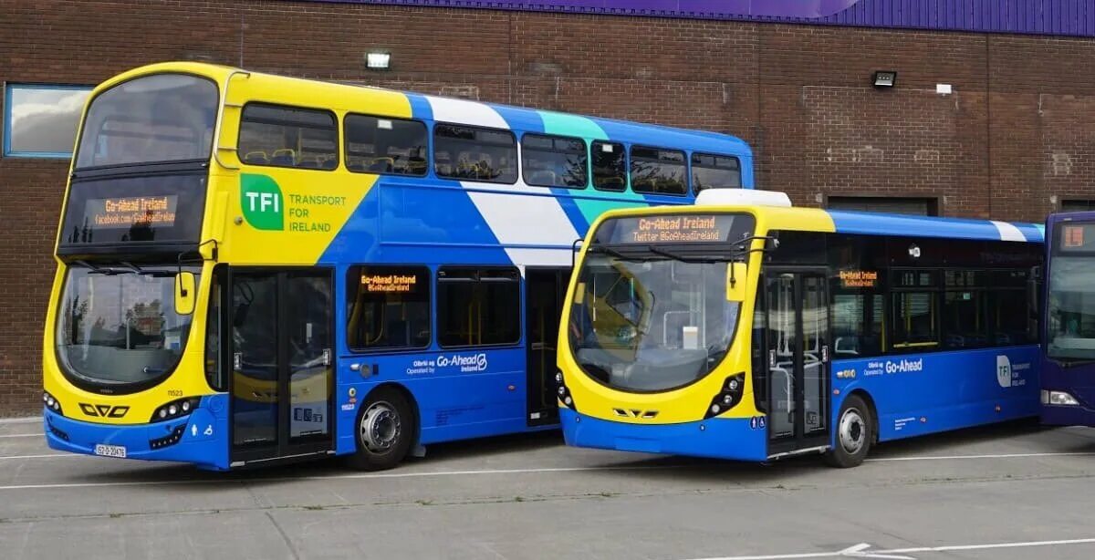 Общественный транспорт Ирландии. Фирма с автобусами Bus. Транспорт Ирландии кратко. Бельгийская фирма автобусов vohh.