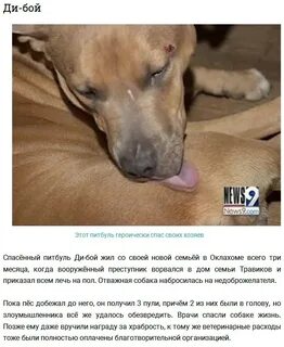 Случаи спасшие жизнь