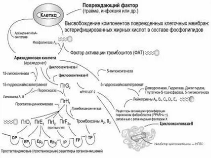 Механизм действия анальгетиков