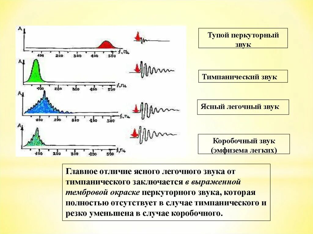 Перкуссия легких заключение. Звук легкого удара. Коробочный звук при эмфиземе. Разновидности перкуторных звуков. Варианты перкуторного звука.