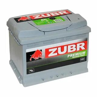 Zubr zubr r
