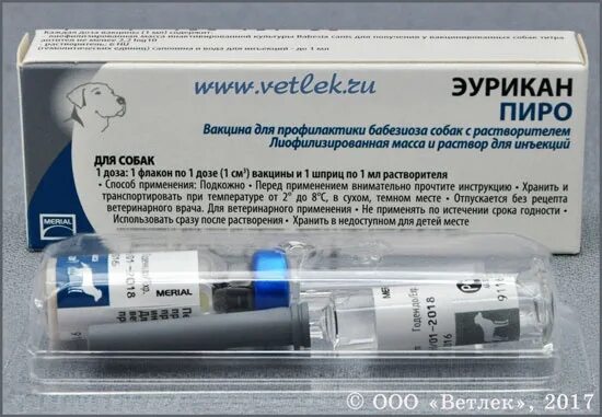 Вакцина пиродог. Эурикан dhppi2 вакцина для собак. Вакцинация Эурикан для собак. Вакцины против пироплазмоза собак. Dhppi2 вакцина для собак лиофилизат.
