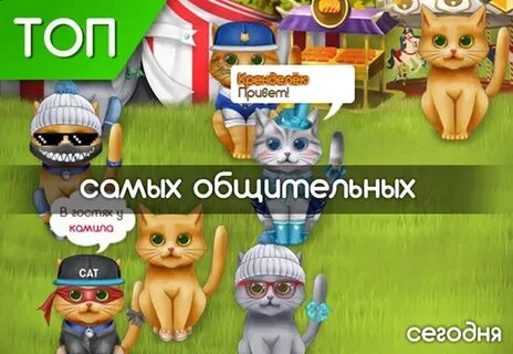 Игра кота 6