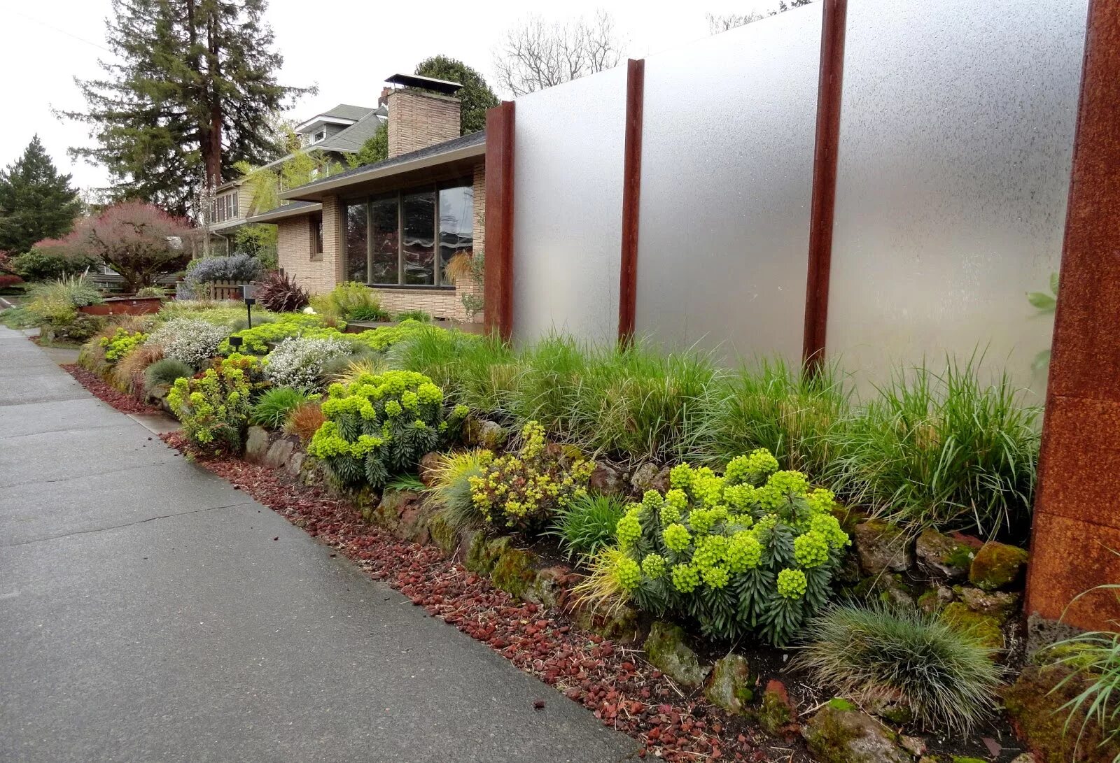Живая изгородь самшит и лаванда. Узкий цветник вдоль забора. Гортензия аннабель живая изгородь. Хвойный миксбордер с туей. Люпин в миксбордере.