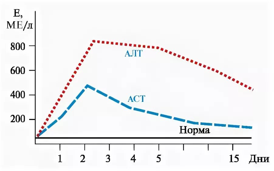 Алт при беременности 3 триместр