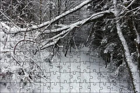 Белая зима 2