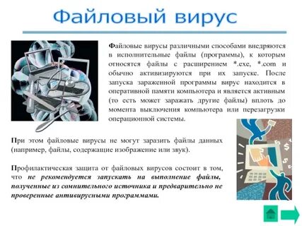 Формат вируса